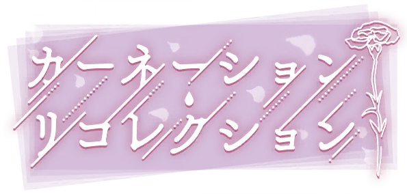 康乃馨追忆